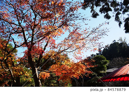 一条恵観山荘　Ichijo Ekan Sanso 84578879
