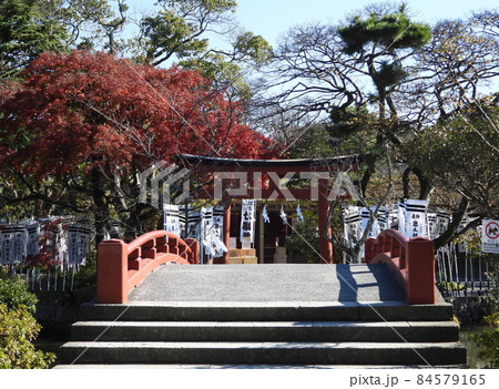 鶴岡八幡宮　Tsurugaoka Hachimangu Shrine 84579165