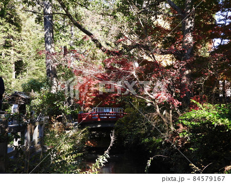 鶴岡八幡宮 Tsurugaoka Hachimangu Shrine 鶴岡八幡宮 Tsurugaoka Hachimangu Shrine 84579167
