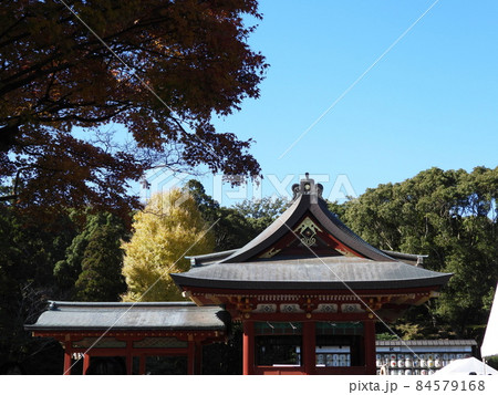 鶴岡八幡宮 Tsurugaoka Hachimangu Shrine 鶴岡八幡宮 Tsurugaoka Hachimangu Shrine 84579168