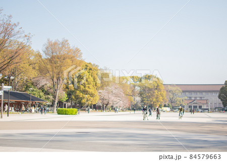 上野駅公園／東京都台東区 84579663