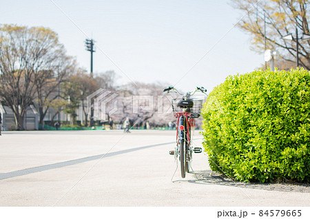 桜の時期の上野駅公園／東京都台東区 84579665