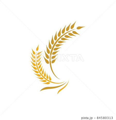 Wheat logo vector icon Wheat logo vector icon 84580313
