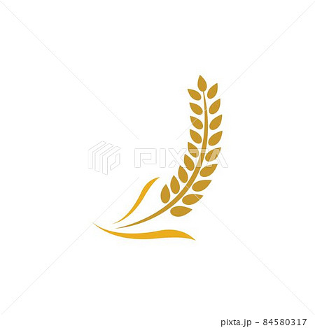 Wheat logo vector icon 84580317