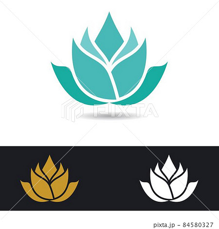 Lotus logo template vector icon Lotus logo template vector icon 84580327