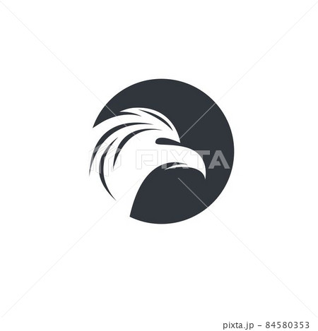 Eagle logo vector icon Eagle logo vector icon 84580353