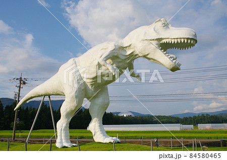 ホワイトザウルス ホワイトザウルス 84580465