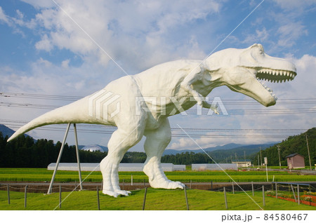 ホワイトザウルス 84580467