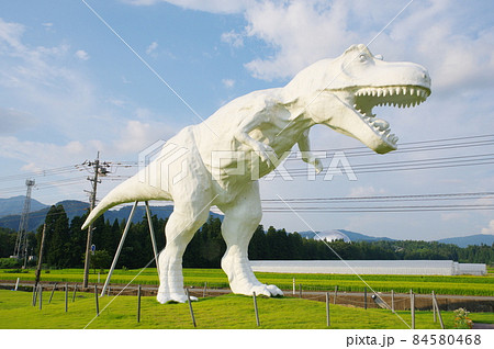 ホワイトザウルス 84580468