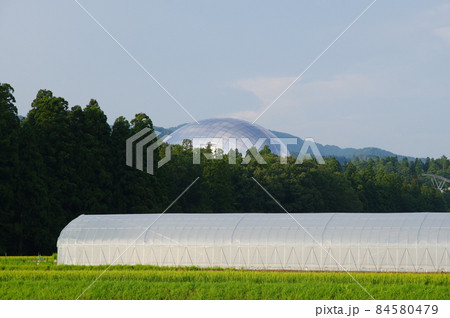 田園地帯から見る福井県立恐竜博物館 84580479