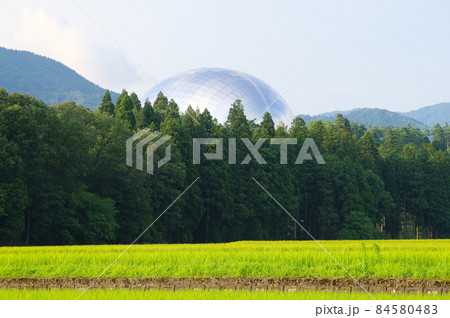 田園地帯から見る福井県立恐竜博物館 84580483