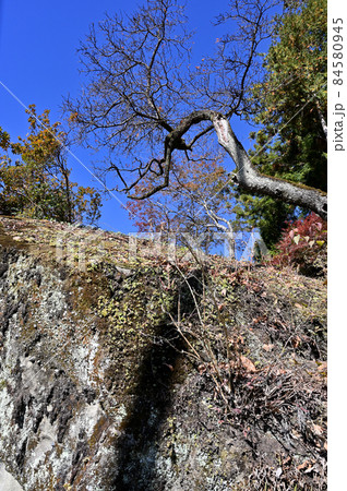 秩父散歩:聖神社 金運隆昌パワースポット 秩父散歩:聖神社 金運隆昌パワースポット 84580945