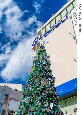 【クリスマス素材】クリスマスツリー【長野県】 84581255