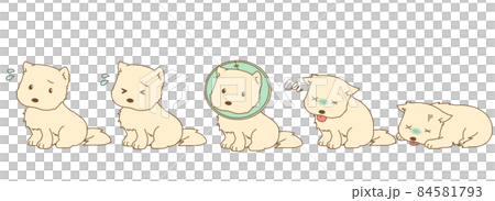 A dog set that looks troubled, sick, and sick 84581793