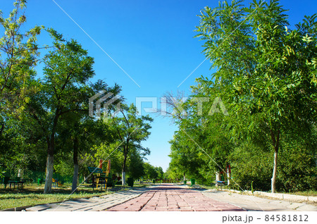 City green park at daytime. City green park at daytime. 84581812