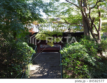 妙本寺　Myohonji temple 84582577