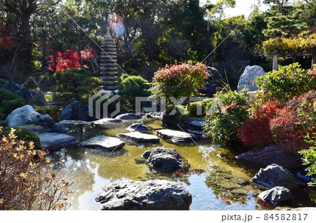 神奈川県立大磯城山公園 旧吉田茂邸地区心字池と紅葉 神奈川県立大磯城山公園 旧吉田茂邸地区心字池と紅葉 84582817