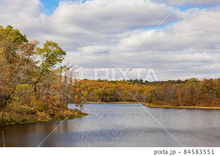 Fall color of the Osage Hills State Park 84583551