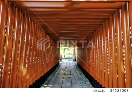 愛知県　犬山城　城内　三光稲荷神社 84585003