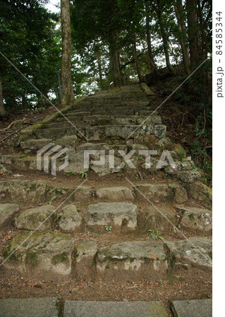 鳥取　四季の散歩　冬　犬山神社 84585344