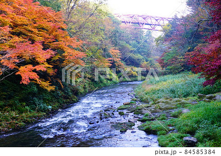 鶴仙渓の紅葉 84585384