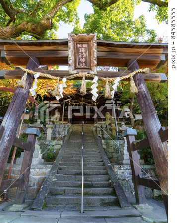 鐸比古鐸比賣神社の秋の風景 84585555