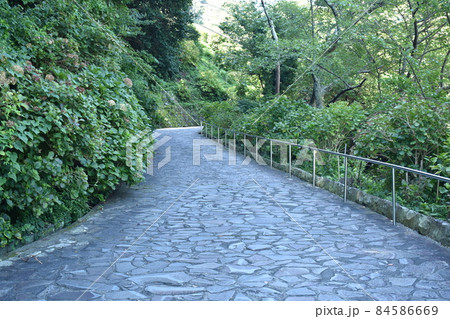 石の道 石の道 84586669