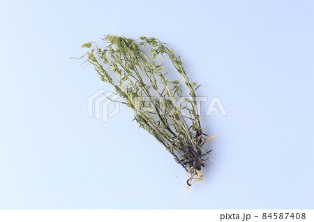 乾燥センブリ 84587408