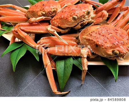 ズワイガニ　ボイル　香箱かに　海洋資源　枯渇　持続可能　sdgs 84589808