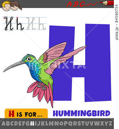 letter H from alphabet with cartoon hummingbird bird letter H from alphabet with cartoon hummingbird bird 84590754