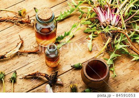 Healing herbs in herbal medicine Healing herbs in herbal medicine 84591053