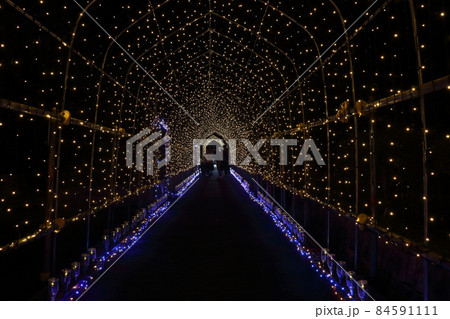 愛知県飛島村のイルミネーション「Tobishima Lights」 愛知県飛島村のイルミネーション「Tobishima Lights」 84591111