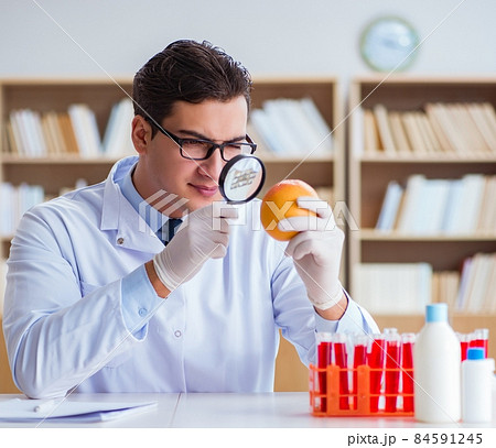 Scientist working on organic fruits and vegetables 84591245