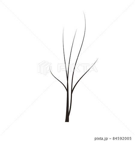 bald handdraw tree vector illustration element for game design. winter tree without crown. dead tree bald handdraw tree vector illustration element for game design. winter tree without crown. dead tree 84592005