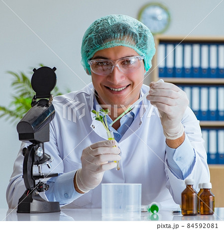 Biotechnology scientist working in the lab Biotechnology scientist working in the lab 84592081