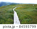 虎毛山山頂の高層湿原を渡る木道 84593799
