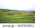虎毛山山頂の高層湿原を渡る木道 84593801