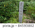虎毛山山頂の標柱 84593802