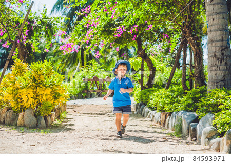 Boy runs through the tropical garden 84593971