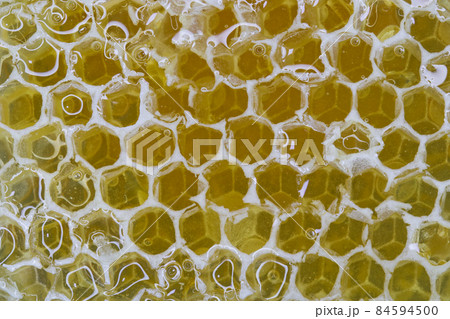 Golden Amber Honey Filled Honeycomb Close-up Frame Golden Amber Honey Filled Honeycomb Close-up Frame 84594500