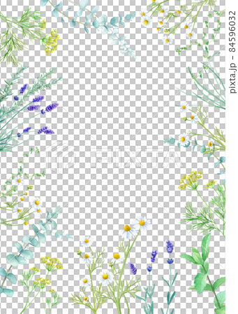 ハーブ(カモミール、ミント、ラベンダー、ユーカリ)の水彩イラスト。ハーバルフレーム装飾。縦型。 ハーブ(カモミール、ミント、ラベンダー、ユーカリ)の水彩イラスト。ハーバルフレーム装飾。縦型。 84596032