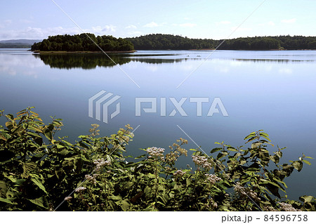 夏の朱鞠内湖 夏の朱鞠内湖 84596758