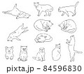 ねこ　イラストセット 84596830