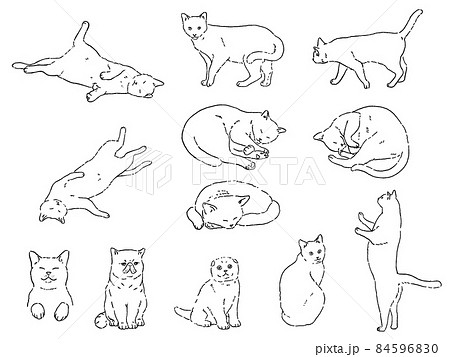 ねこ　イラストセット 84596830