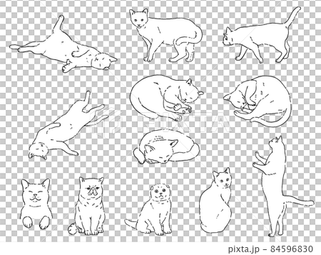 ねこ　イラストセット 84596830