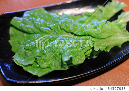 チシャ菜 84597053