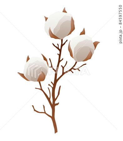 Cotton Flower Icon Soft White Plant For のイラスト素材