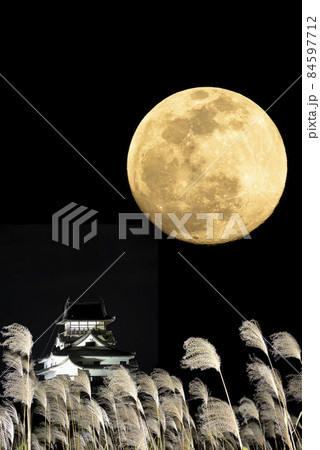 【秋イメージ】中秋の名月（満月）とススキとお城 84597712