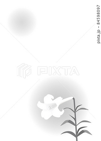 イラスト素材　喪中ハガキ　ユリ 84598097