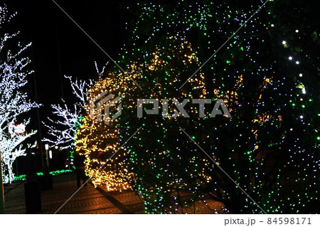京セラ本社のクリスマス 84598171